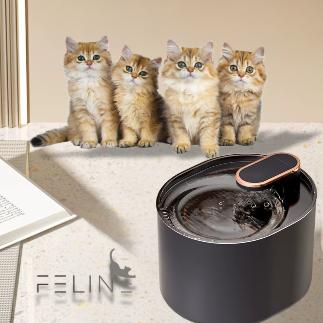 FELINE™